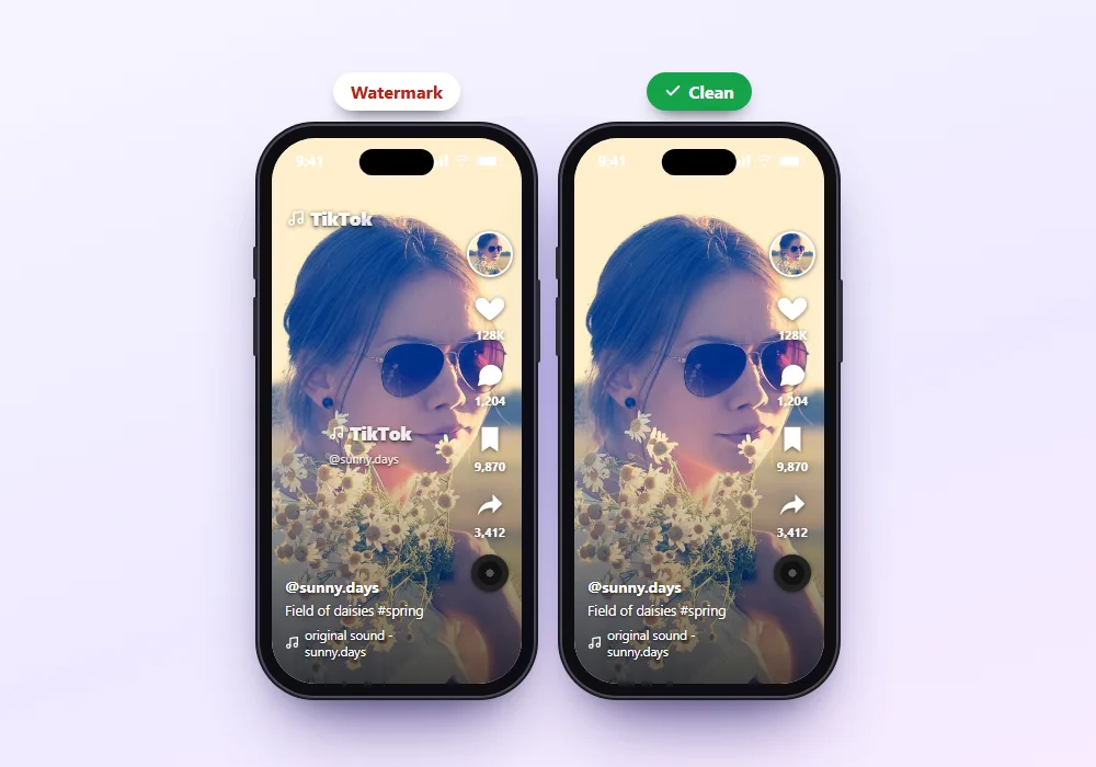 TikTok video with and without watermark