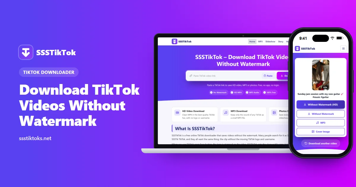 SSSTikTok downloader input box